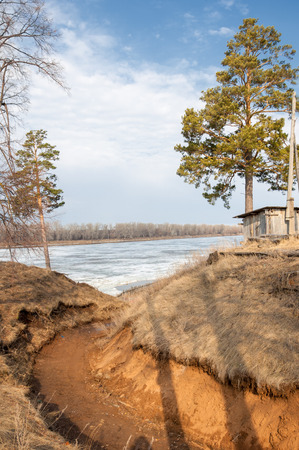 Pine forest in spring. River ice.  the season of spring. spring, springtime, springtide, prime. the season after winter and before summer, in which vegetation begins to appear,の写真素材