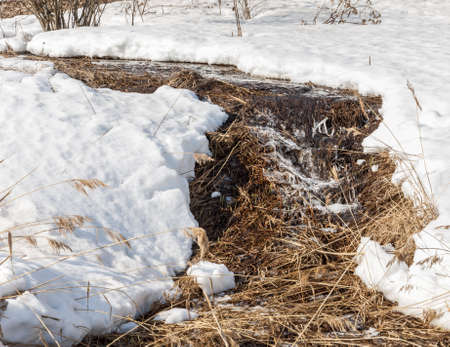 spring Brook.   texture of melt water in the spring brooks on a sunny day.  river creek stream. Spring melting of ice on the river.の写真素材
