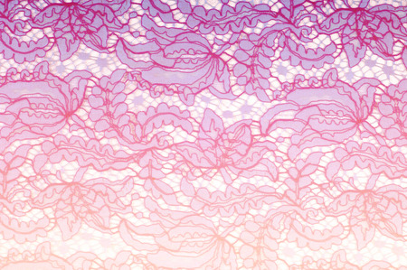 Texture lace fabric. の写真素材