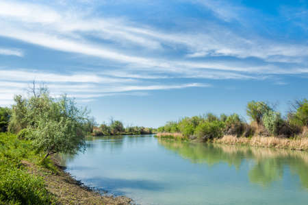 Steppe river reeds summer. views in the view of the river. small blue river by a sunny dayの写真素材