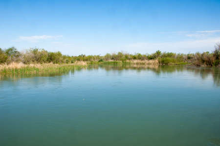 Steppe river reeds summer. views in the view of the river. small blue river by a sunny dayの写真素材