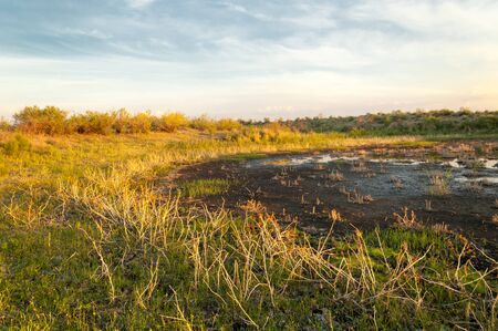 Small lake under nice sky. evening scene on lake in steppe, Landscape with bog in steppe in nice summer day.  summer scene on lakeの写真素材