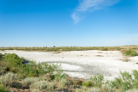 Steppe saline soils. saline  salt  in salt.  steppe  prairie  veldt veld. Saline soils of the...