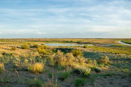 Small lake under nice sky. evening scene on lake in steppe, Landscape with bog in steppe in nice summer day.  summer scene on lakeの写真素材