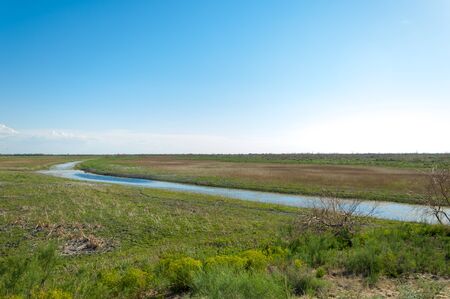 Small lake under nice sky.  Landscape with bog in steppe in nice summer day.  summer scene on lakeの写真素材