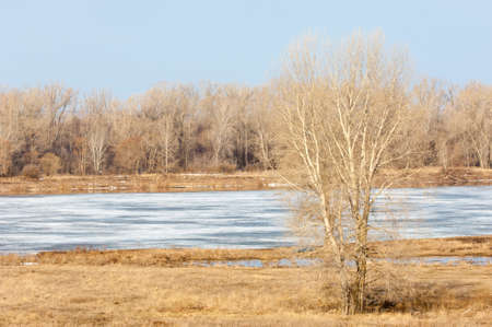Spring River, the ice on the river. picturesque spring landscape with river ice melted bare trees and beautiful clouds in the blue skyの写真素材
