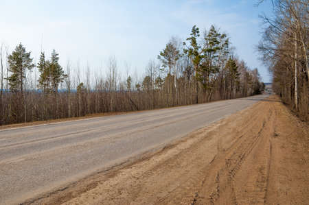 Country road in early spring in the spruce forest. provincial highway. public road or other public road on landの写真素材