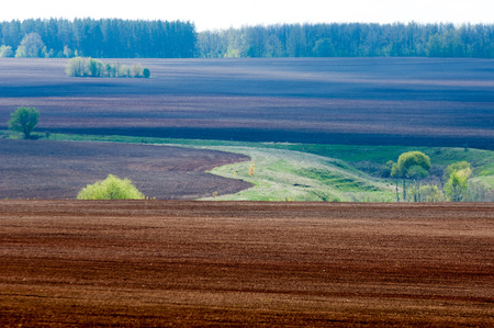 Field plowed, sown cereals. Plowed field in spring day. Black soil plowed field. Plowed field in the blue skyの写真素材