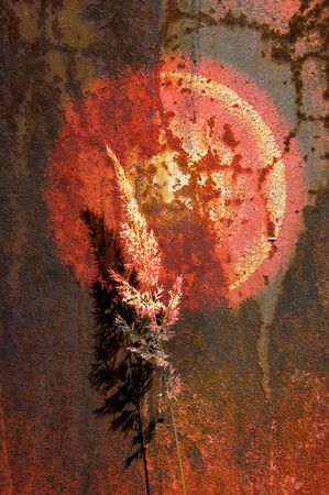 Texture of rusty iron. Background and texture of rusty on iron with vintage color and vintage style....