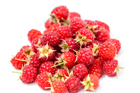 Raspberry  razz  fence  stash.  