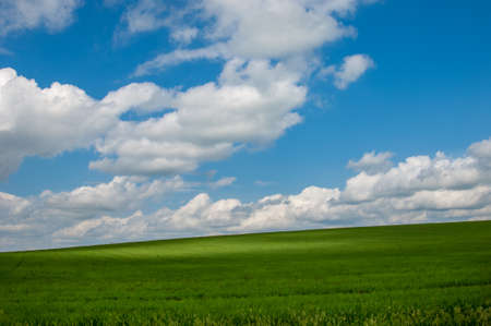 Summer country road. Country road in the mountains at sunset. Country road against blue sky の写真素材