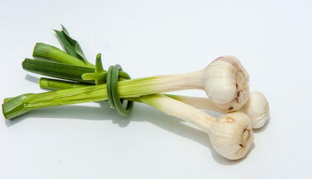 garlic.Garlic is not ripened on the stem of the leaf. a strong-smelling pungent-tasting bulb, used as a flavoring in cooking and in herbal medicine.の写真素材