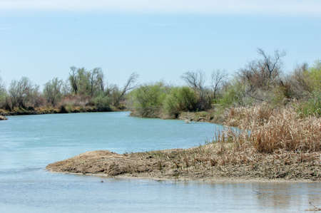 Steppe river reeds summer. views in the view of the river. small blue river by a sunny dayの写真素材