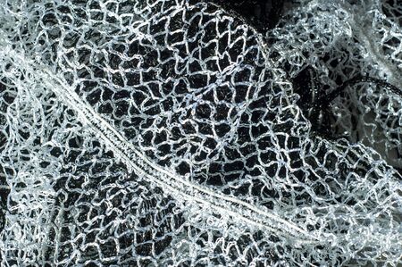 Texture, background, fabric black and white scarf