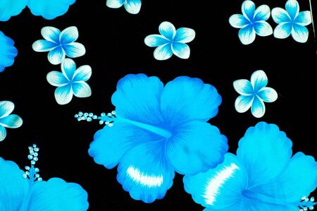 Texture. Background. Woolen fabrics. Blue and white flowers on a black backgroundの写真素材