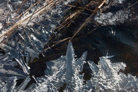 Texture Ice frozen in a puddleの写真素材