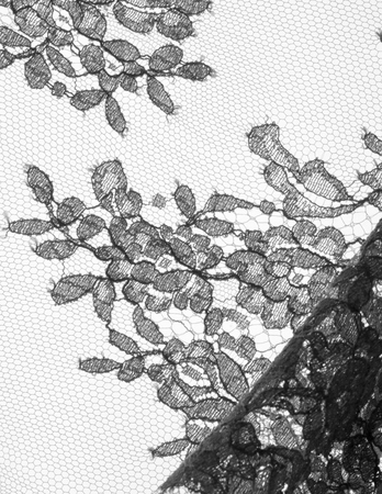 Texture lace fabric. lace on white background studio. thin fabric made of yarn or thread. typically one of cotton or silk, made by looping, twisting, or knitting thread in patternsの写真素材