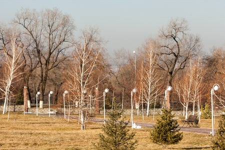 park first prizident, parklands in the fog in winter. Kazakhstan. Almatyの写真素材