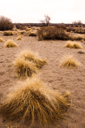 The first autumn frost on the road. road in Autumn. A colourful curving autumn road.の写真素材