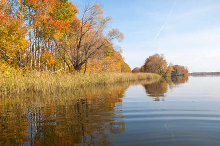 Autumn calm on the lake reflection of trees in water. Beautiful forest reflecting on calm lake shore. Beautiful calm lake in the fall reflecting treesの写真素材