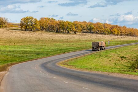 autumn yellow trees country roadの写真素材
