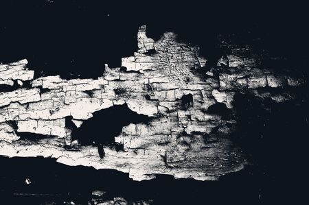 Texture, background. の写真素材