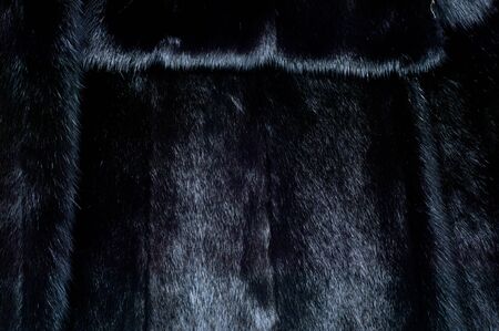 Texture, background. Mink fur. Women's mink fur coatの写真素材