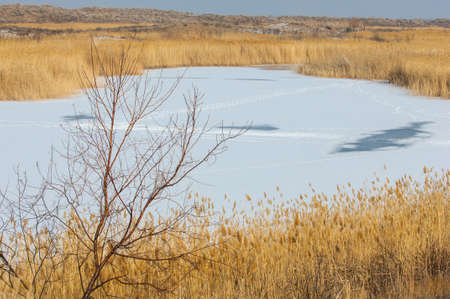 steppes winter. Kazakhstan, Almaty region, Bakanas,の写真素材
