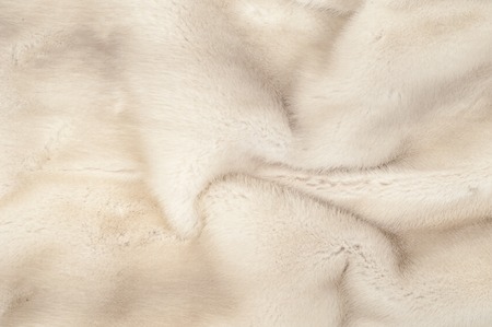 Texture, fur white (blue) mink. Mink fur. mink coat. photo studio.の写真素材