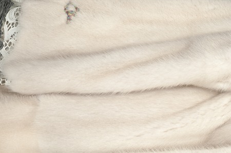 Texture, fur white (blue) mink. Mink fur. mink coat. photo studio.