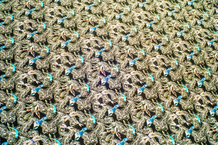 cotton fabric with birds on a black background