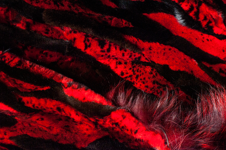 texture. background. mink fur, painted in red colorの写真素材