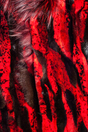 texture. background. mink fur, painted in red color