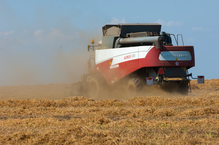 07,08,2014 Russian Tatarstan. peas combine. Harvester combine pouring peas in the tractor trailer on...