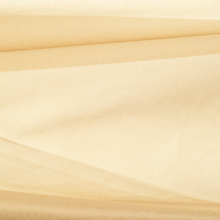 texture of the skin. The photo was taken in a studioの写真素材