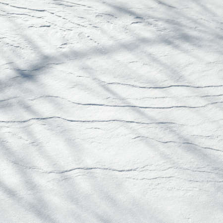 snow texture. atmospheric water vapor frozen into ice crystals and falling in light white flakes or lying on the ground as a white layerの写真素材