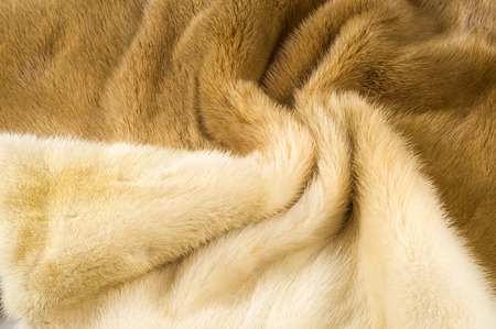 Texture, background. mink fur. Mink coat. Gold color mink fur. a small, semiaquatic, stoatlike...