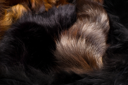 Texture, background. Fur Fox. a carnivorous mammal of the dog family with a pointed muzzle and bushy tail, proverbial for its cunning.の写真素材