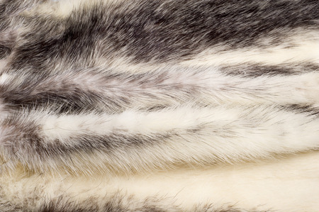 Texture, background. Mink fur multicolored. mink tails