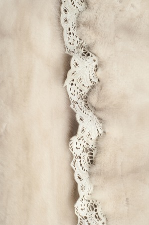 Texture, fur white (blue) mink. Mink fur. mink coat. photo studio.の写真素材