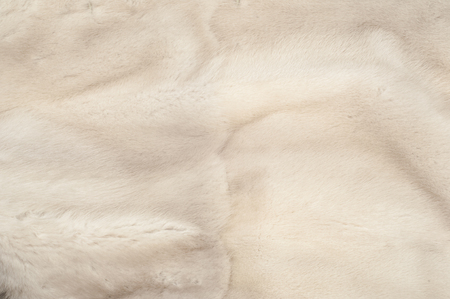 Texture, fur white (blue) mink. Mink fur. mink coat. photo studio.