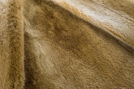 Texture, background. Mink fur. he short, fine, soft hair of certain animals. carnivorous mammals of...