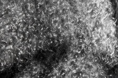 texture, background. The fur of the Angora goat. a goat, of a long-haired breed.の写真素材