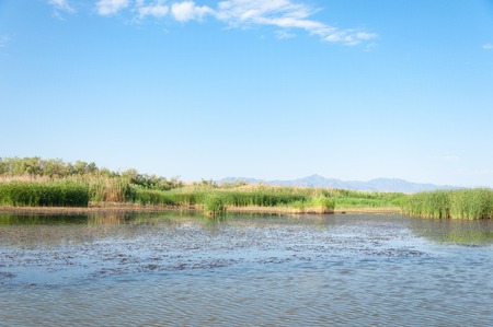 steppe summer. Turgai gate. Turgai save. National Park Altyn Emel Kazakhstan. Filling the river Ili
