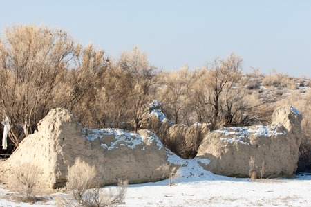 steppe, prairie, veld, veldt. Bright sunshine, spring in the desertの写真素材
