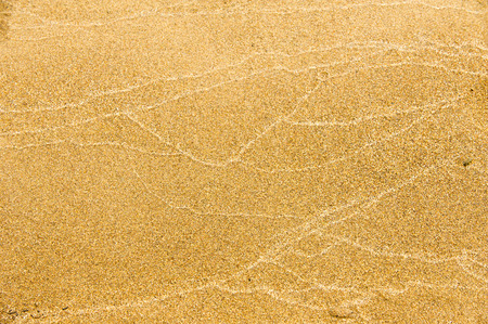 Texture, background. the sand on the beach. loose granular substance, pale yellowish brown, resulting from the erosion of siliceous and other rocks and forming a major constituent of beaches,の写真素材