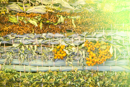 Texture background Dry grass collected in the mat. Excellent flavored design solution. vegetation consisting of typically short plants with long narrow leaves, growing wild or cultivated on lawns and pasture,の写真素材