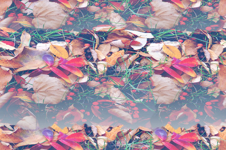 Seamless texture, pattern. Autumn leaves on the groundの写真素材