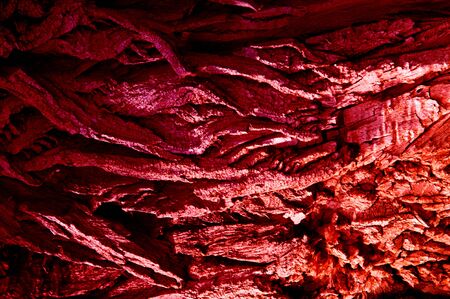 Texture, background, pattern. Bark of tree. Outside, above the timber, piece of trunks, stems and roots of woody plants.の写真素材