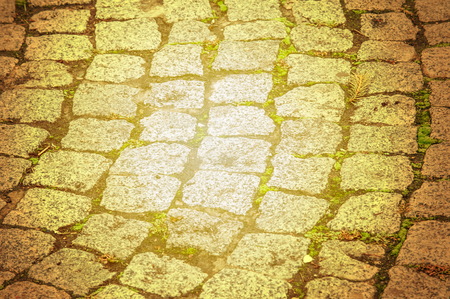 texture, background. The pavement of granite stone. Paved roadway street. any paved area or surface. Old cobblestone road pavement texture, grass between stonesの写真素材